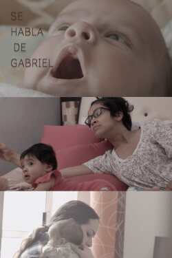 Se habla de Gabriel (2020) Se habla de Gabriel (2020)