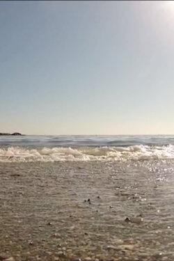 Sea (2013) Sea (2013)