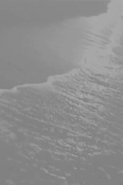 Sea of Tranquility (2004) Sea of Tranquility (2004)