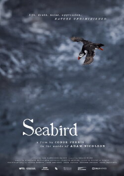 Seabird (2021)