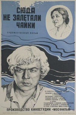 Seagulls Never Fly Here (1978)