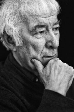 Seamus Heaney and the Music of What Happens (2019) Seamus Heaney and the Music of What Happens (2019)