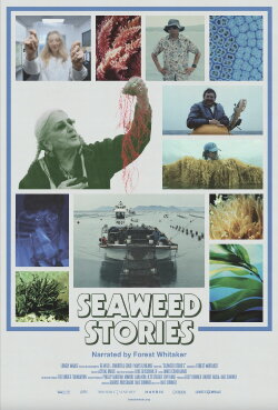 Seaweed Stories (2024) Seaweed Stories (2024)