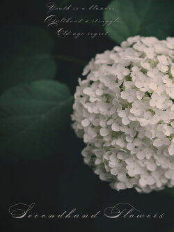 Secondhand Flowers (2021)