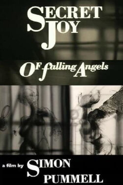Secret Joy of Falling Angels (1991) Secret Joy of Falling Angels (1991)