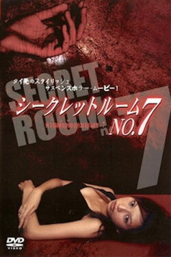 Secret Room No. 7 (2005) Secret Room No. 7 (2005)