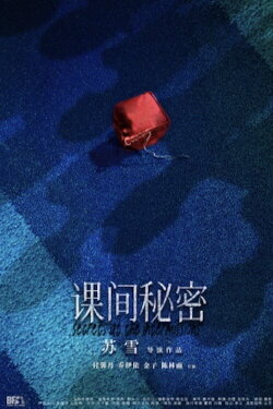 Secrets At The Intermissions (2022)