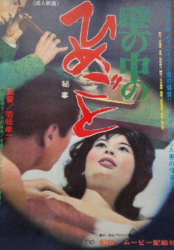 Secrets Behind the Wall (1965)