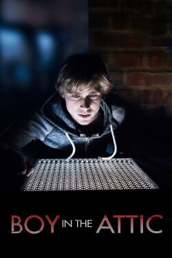Secrets in the Attic (2016)