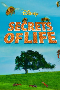 Secrets of Life (1956) Secrets of Life (1956)