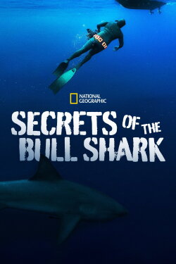 Secrets of the Bull Shark (2020) Secrets of the Bull Shark (2020)