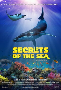 Secrets of the Sea (2022) Secrets of the Sea (2022)