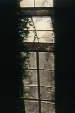 See Through The Shadow Of Darkness (1996)