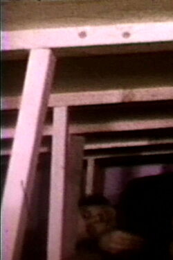 Seedbed (1972)