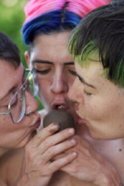 Seedbombs - a tutorial for ecosensual guerilla (2024)