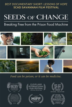 Seeds of Change (2023) Seeds of Change (2023)