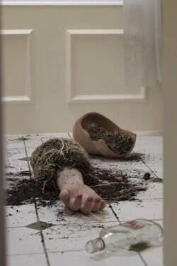 Seeds of Love (2021) Seeds of Love (2021)