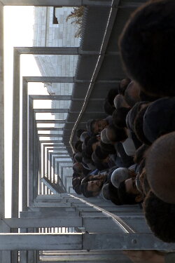 Seeds of Peace (2008) Seeds of Peace (2008)