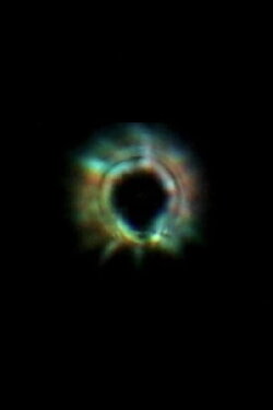 Seeing the Scintillation of Sirius (2023) Seeing the Scintillation of Sirius (2023)