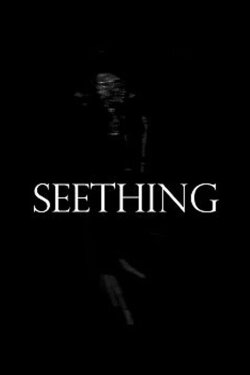 Seething (2013)