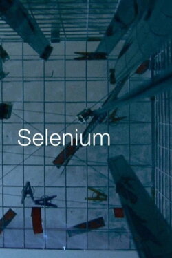 Selenium (2016) Selenium (2016)