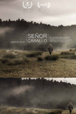 Señor Caballo (2020)