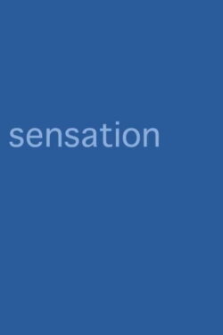 Sensation (2022) Sensation (2022)