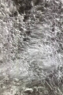 Sentient Ocean (2021) Sentient Ocean (2021)