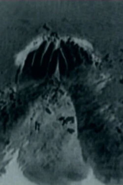 Senza foce (1997)