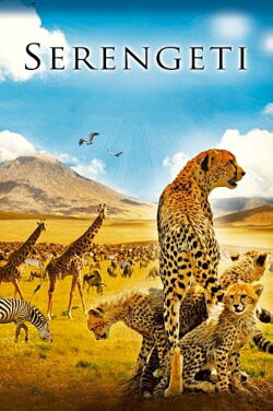 Serengeti (2011) Serengeti (2011)