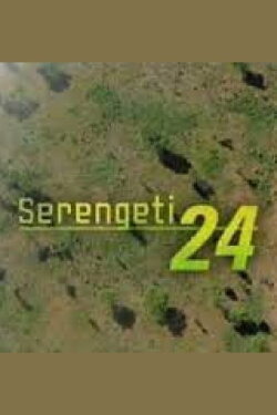 Serengeti 24 (2005) Serengeti 24 (2005)