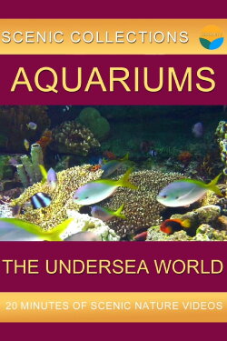 Serenity Channel - Aquariums (2014) Serenity Channel - Aquariums (2014)
