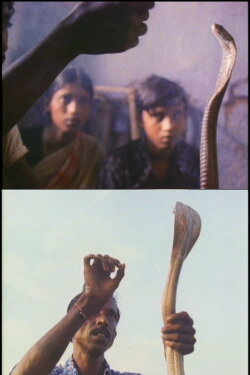Serpent Mother (1985)