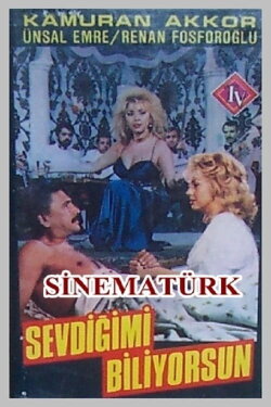 Sevdiğimi Biliyorsun (1988) Sevdiğimi Biliyorsun (1988)