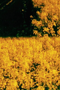 Seven Landscapes (1995) Seven Landscapes (1995)