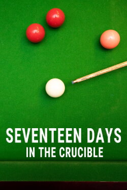 Seventeen days in the Crucible (2022) Seventeen days in the Crucible (2022)