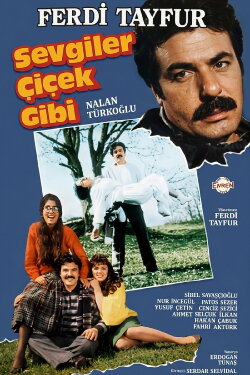 Sevgiler Çiçek Gibi (1988) Sevgiler Çiçek Gibi (1988)