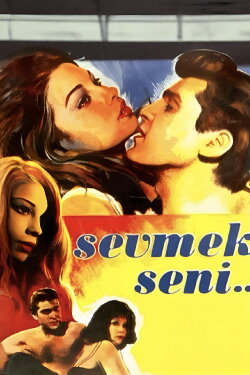 Sevmek Seni (1965)