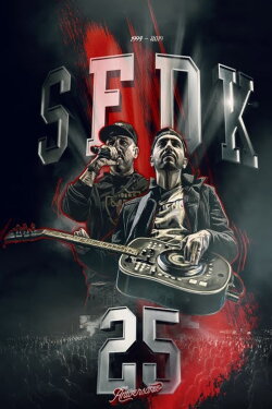 SFDK: Concierto 25 aniversario (2019)