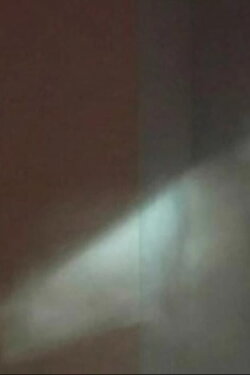 Shadow (2007) Shadow (2007)