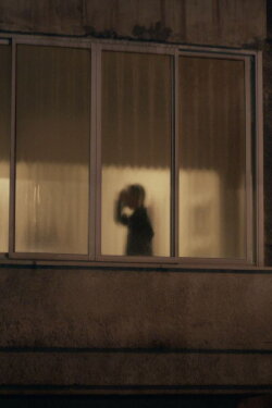 Shadow Puppets (2013) Shadow Puppets (2013)