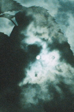 Shadow Stepping (1983)