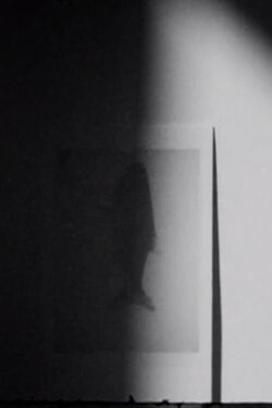 shadow swells (2022)