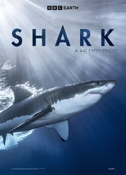 Shark: A 4D Experience (2017)