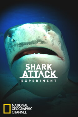 Shark Attack Experiment Live (2011) Shark Attack Experiment Live (2011)