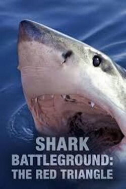 Shark Battleground: Red Triangle (2007) Shark Battleground: Red Triangle (2007)