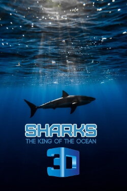 Sharks: Kings of the Ocean (2011) Sharks: Kings of the Ocean (2011)
