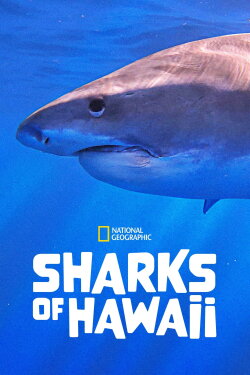 Sharks of Hawaii (2021) Sharks of Hawaii (2021)