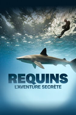 Sharks: The Secret Adventure (2022) Sharks: The Secret Adventure (2022)