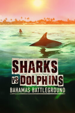 Sharks vs. Dolphins: Bahamas Battleground (2023) Sharks vs. Dolphins: Bahamas Battleground (2023)
